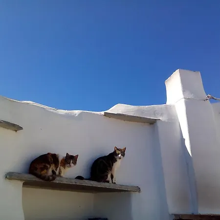 Balcony To The Aegean Holiday home Steni