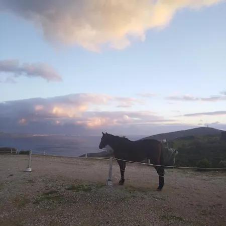 Balcony To The Aegean Stení