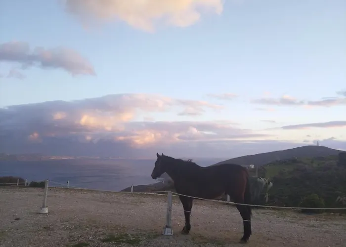 Balcony To The Aegean Stení