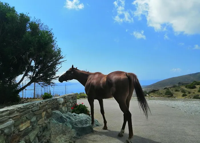 Feriehus Balcony To The Aegean Stení