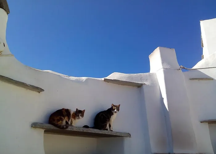 Balcony To The Aegean Feriehus Stení